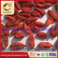 High Quality Dried Goji Berry From China